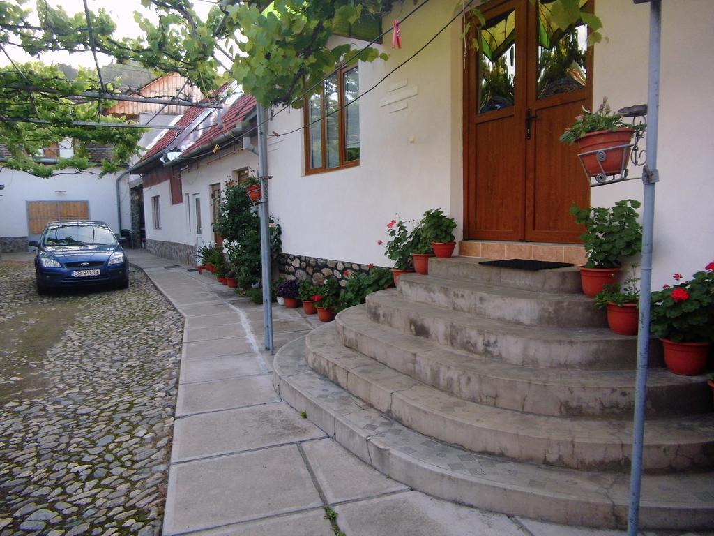 Pensiunea Brad Гура-Рыулуй Экстерьер фото